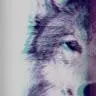 bailey black - @black_magic_music - TikTok