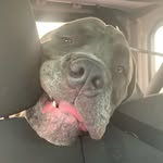 Bailey Blankenship - @bailey_betta101 - Instagram
