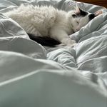 BaileyGrey - @bailey_blanton26 - Instagram