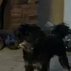 Bailey - @bailey_blevins - TikTok