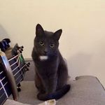 Bailey - @bailey.from.the.block_ - Instagram