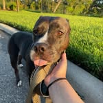 Bailey from the Block - @ms.bailey.mae - Instagram