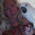 Annette Bailey Blocker - @screaming_cockatoo - Instagram