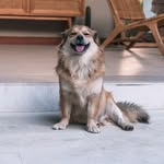 Bailey Blooms - @bailey_blooms - Instagram