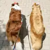 Bailey.Bloom_ - @bailey.bloom_5 - TikTok