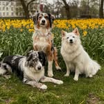 Bailey&Bloom&Balu - @baileybloombalu - Instagram