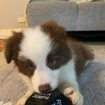 Ms Bailey Bloom - @ms.baileybloom - Instagram