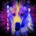 🐾Bᴀɪʟᴇʏ Bʟᴜᴇ 🐾 - @bailey___blue - Instagram