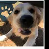 Bailey - @_baileyblue_ - TikTok