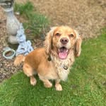 Bailey - @baileybluezz - Instagram