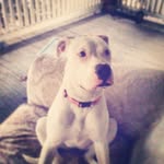 Bailey Blue - @baileyblue321 - Instagram
