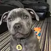 Bailey Blue - @bailey.blue52 - TikTok