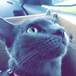 Bailey Blue - @baileyblue._ - Instagram