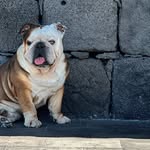 🔹Bailey Blue🔹 - @baileyblue0917 - Instagram