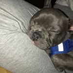 Bailey Blue - @bailey_.blue - Instagram