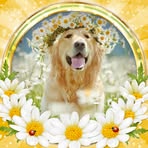 Bailey Blue - Facebook