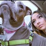 Bailey Blue - @baileythehousehippo - Instagram
