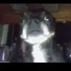 Bailey Blue - @bailey.blue13 - TikTok