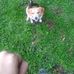 Bailey Bode - Facebook