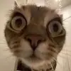 baileybond07 - @baileybond07 - TikTok