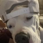 Bailey Booher - @bailey.booher.71 - Instagram