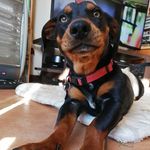 Bailey Booth - @bailey.on.the.daily.doo - Instagram