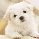 Bailey - @bailey2002bottoms - Instagram