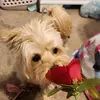 Bailey chanel - @bailey_bottoms24 - TikTok