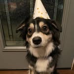 Bailey Fluffy Bottoms Drake - @bailey.fluffy.bottoms - Instagram