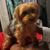 BaileyBottoms - @baileybottoms - TikTok