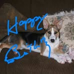 Bailey Boulter - Facebook