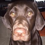 @bailey.bowden.thelab - Instagram