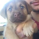Bailey Bowden 🐾 - @baileyyybowden - Instagram