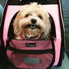 bailey.bowman - @bailey.bowman - TikTok