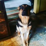 Bailey Boyle - @bailey_boyle11 - Instagram