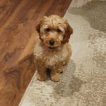 Bailey Bradley - @life.of.bailey.bradley - Instagram