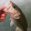 Bradley Bailey - @bradley.bailey00 - TikTok