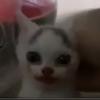 Bailey - @bailey_branch - TikTok