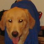 Bailey Brenner - Facebook