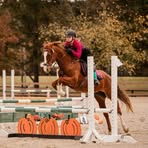 Bayley Brigham - Facebook