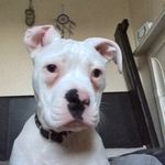 Bailey Bright - @bailey_15_ - Instagram