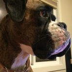 Bailey Bright - Facebook