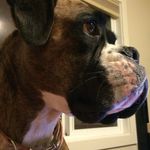 Bailey Bright - @brightbaysun - Instagram