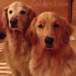 Bailey & Brinkley Doyle - @mmbaileybrinkley - Instagram