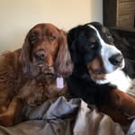 Brinkley And Bailey - @brinkleyandbailey - Instagram