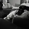 Bailey21@ - @baileybritt1 - TikTok