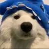 bailey Brookes - @bailey.brookes - TikTok