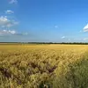 baileyjbroussard - @baileyjbroussard - TikTok