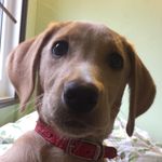Bailey_Bruce - @baileybruce.adventurer - Instagram