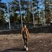 Baylee Bruce - Facebook